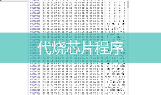 代燒芯片/程序